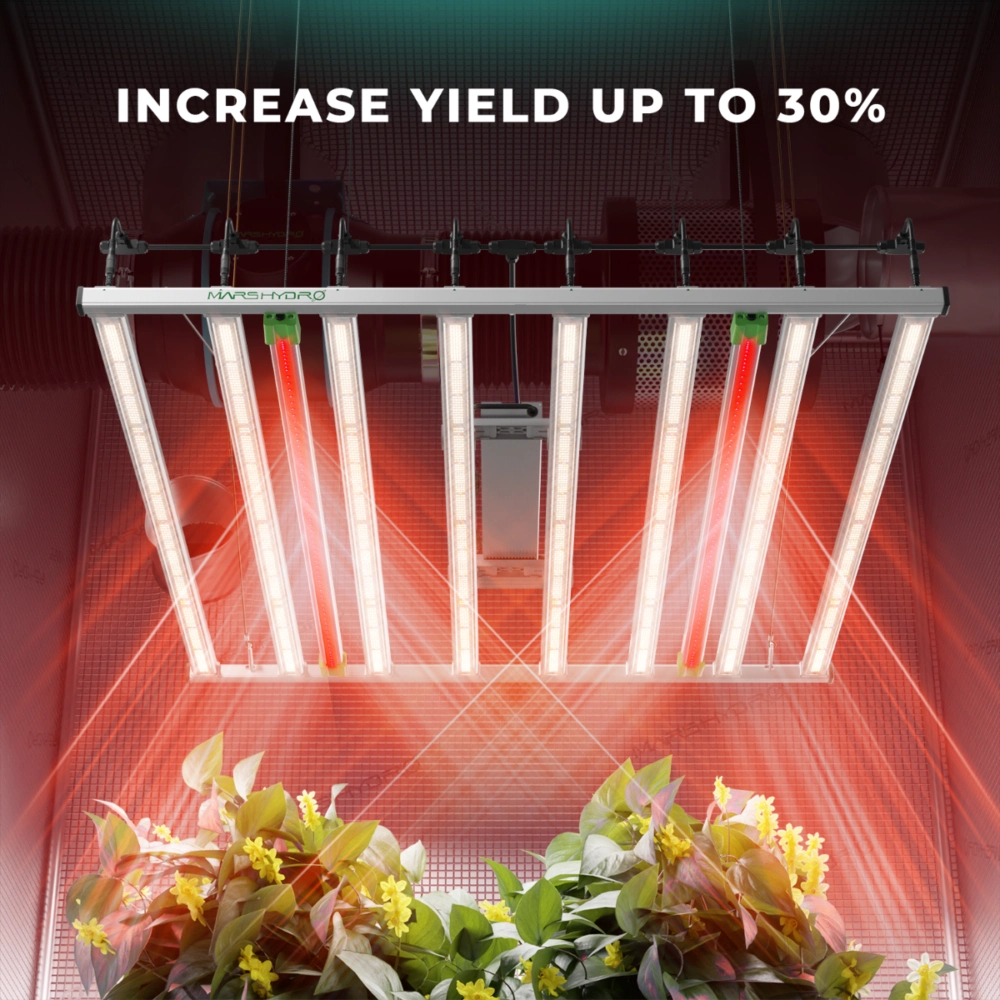 deep_red55_hasat_agirligi_iliskisi - Botanik Led