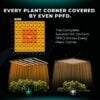 fc1000_evo_iz_dusum - Botanik Led