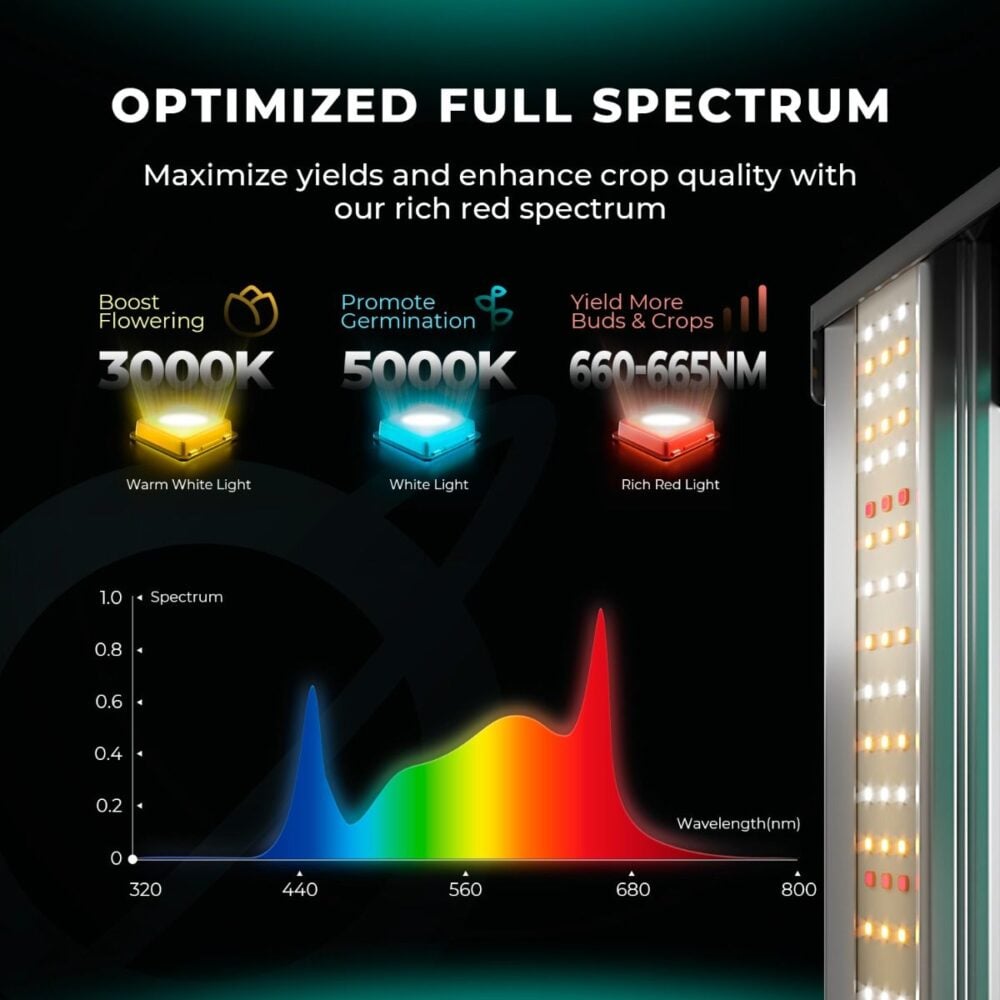 full_spektrum_fc1000_evo_bitki_yetistirme_lambasi - Botanik Led