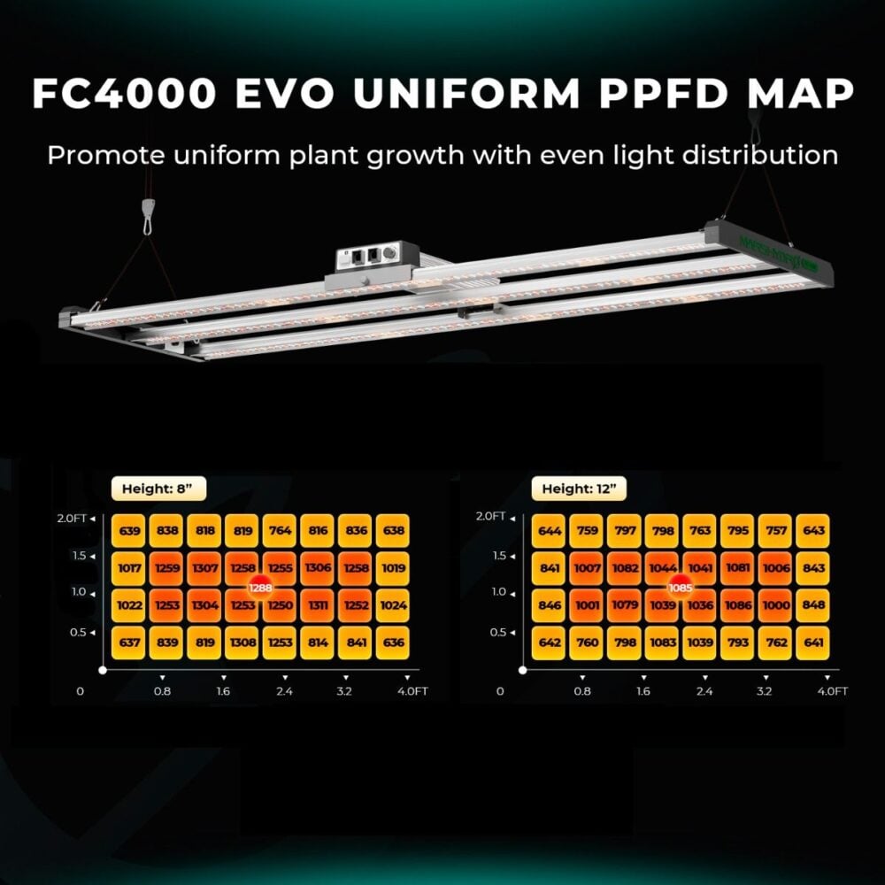 high-ppfd-of-fc4000-evo-inch - Botanik Led