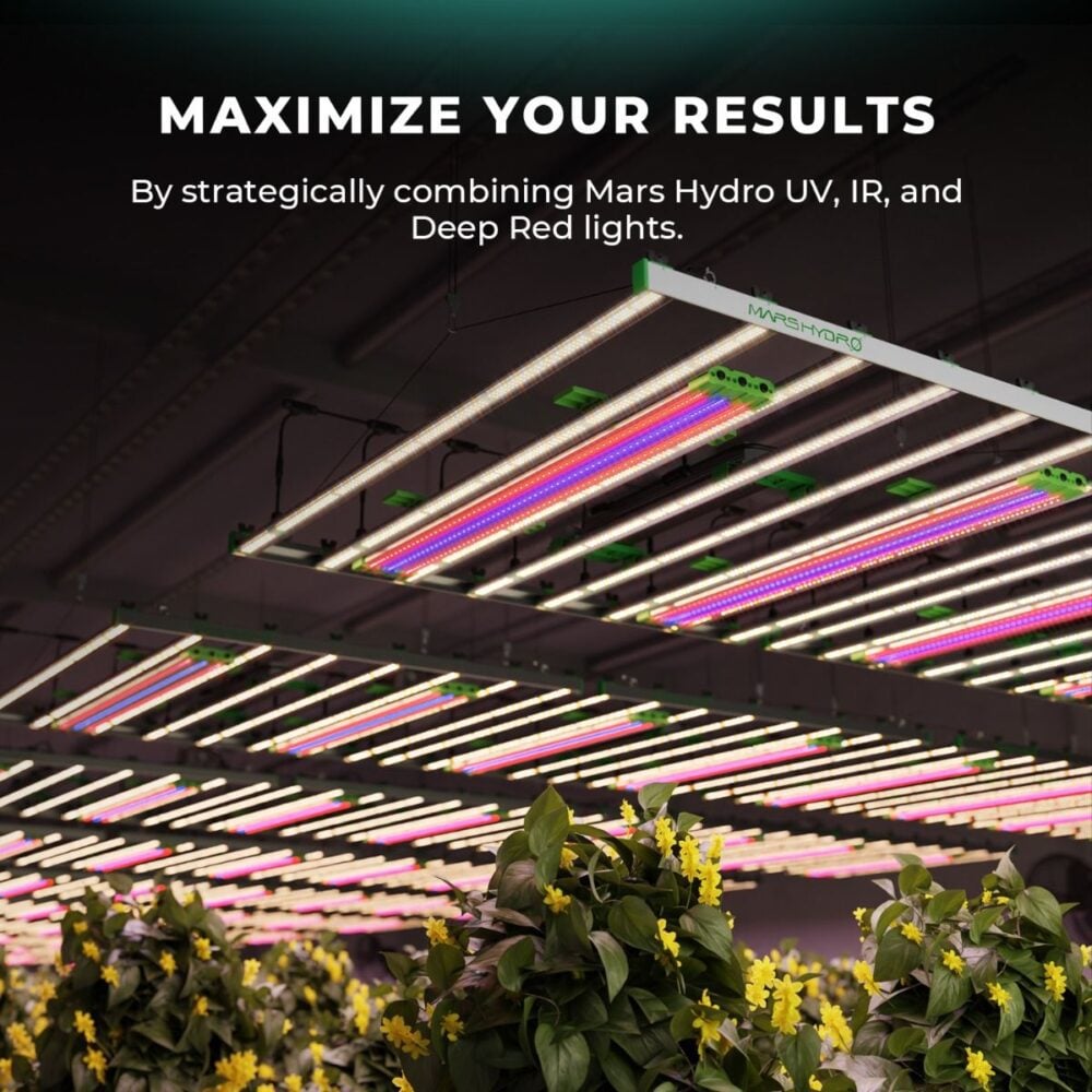 mars_hydro_deep_red55_maksimum_hasat - Botanik Led