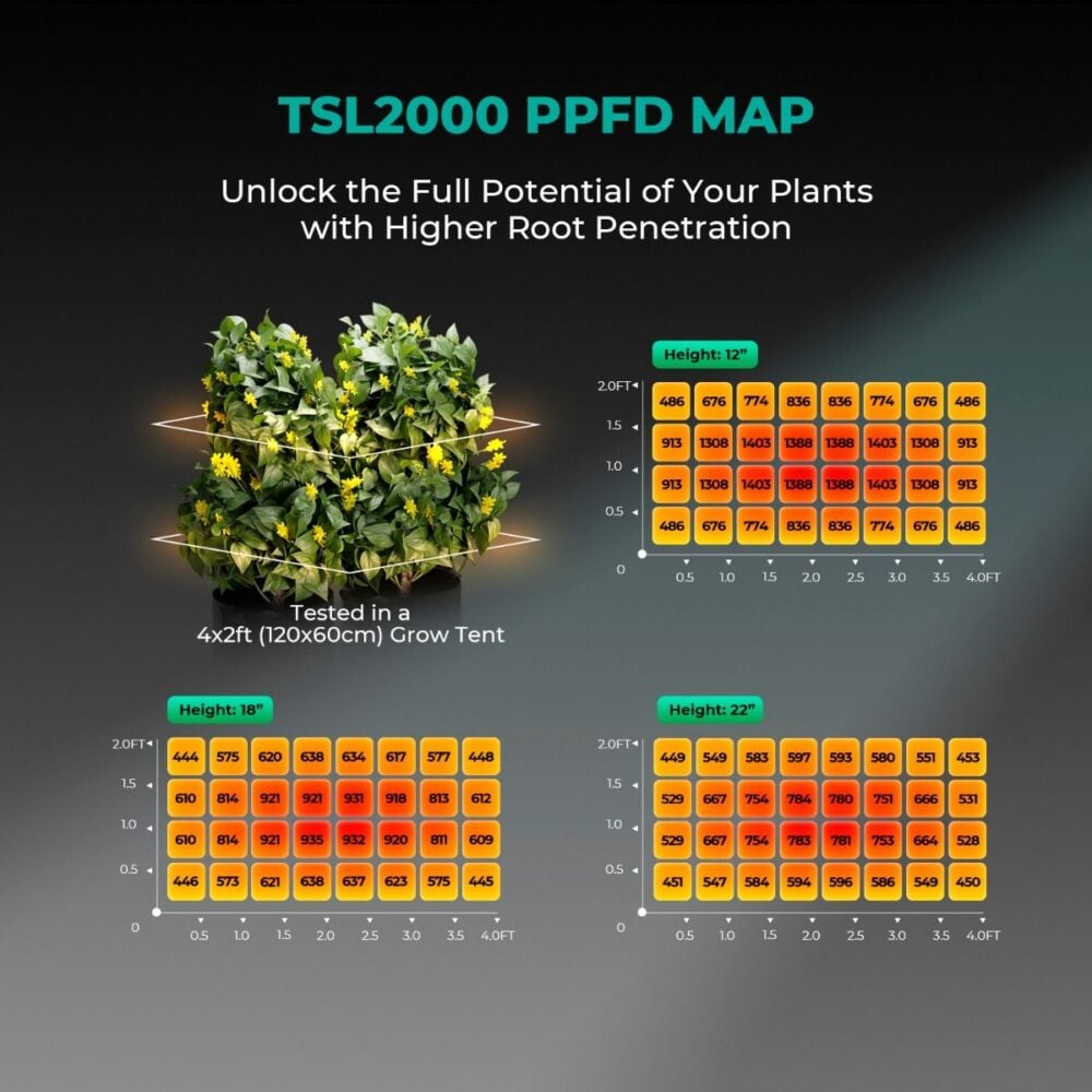 Mars Hydro TSL2000 PPFD Haritası - Botanik Led Mars Hydro TSL2000 PPFD haritası ve ışık dağılımı