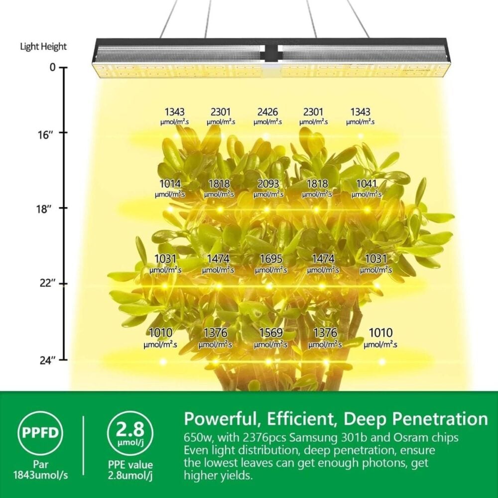 sp_6500_led_grow_light-mars_hydro-_ppe-1-1 - Botanik Led