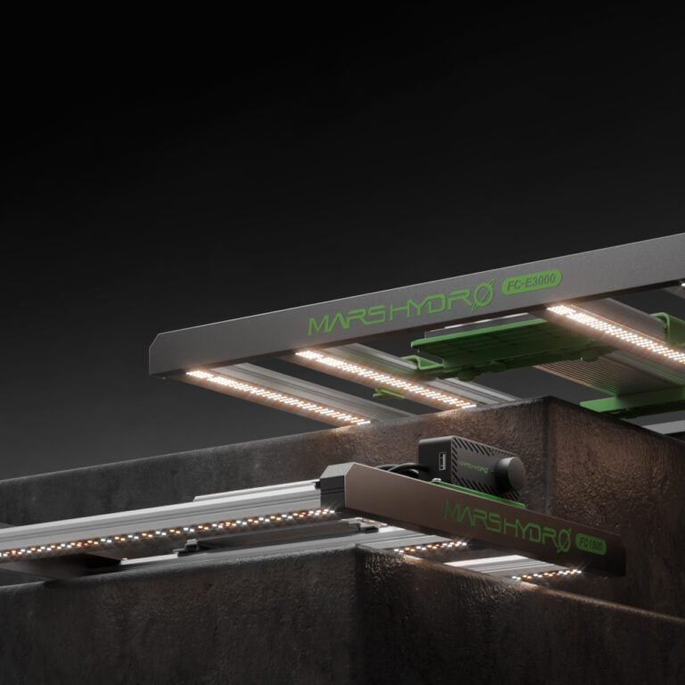 2 - Botanik Led