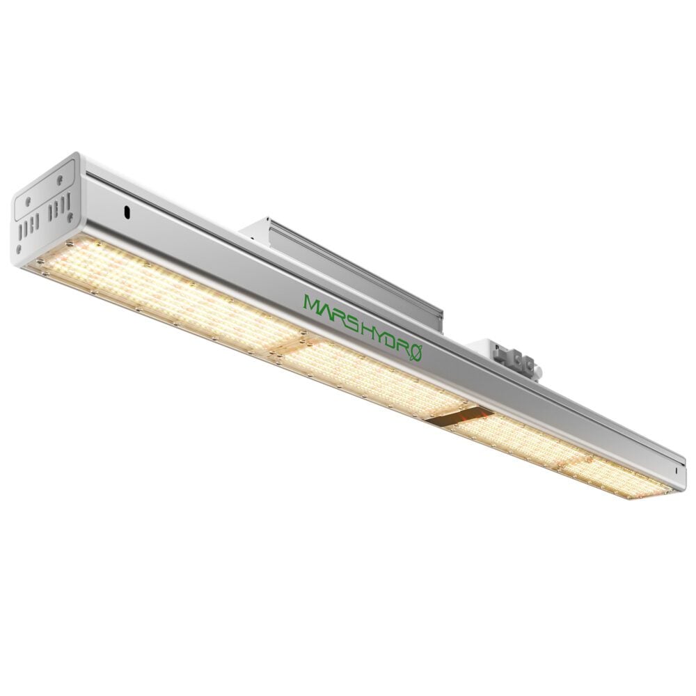 SP-3000-G-1 - Botanik Led