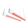 vg40-red - Botanik Led