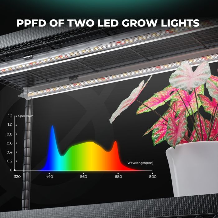 mars_hydro_plant_stand_with_grow_lights_1 - Botanik Led