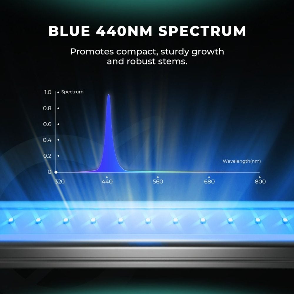 mars-hydro-adlite-blue-55-440nm - Botanik Led